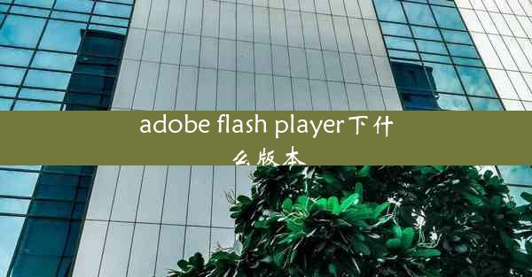 adobe flash player下什么版本