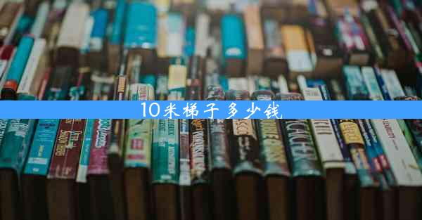 10米梯子多少钱