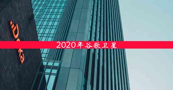 2020年谷歌卫星