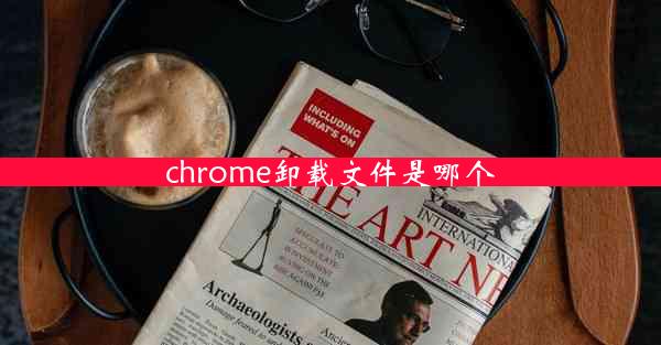 chrome卸载文件是哪个