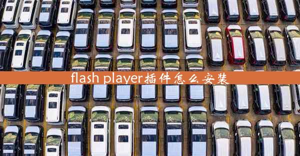 flash player插件怎么安装