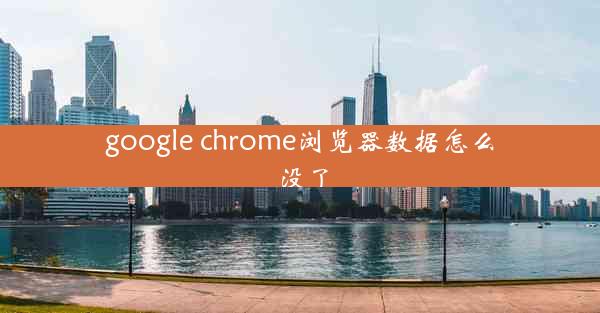 google chrome浏览器数据怎么没了