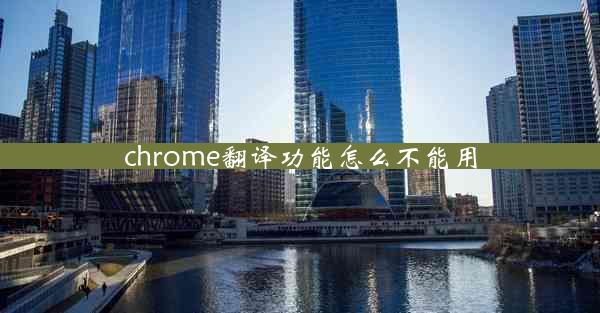 chrome翻译功能怎么不能用