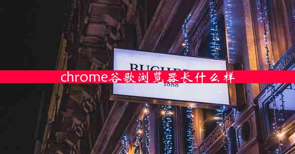 chrome谷歌浏览器长什么样