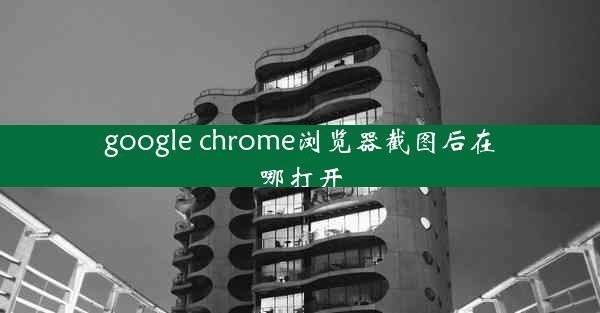 google chrome浏览器截图后在哪打开