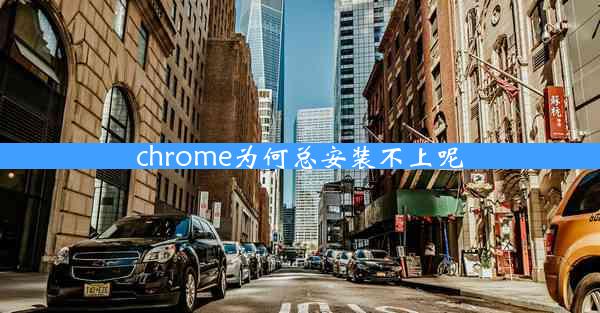 chrome为何总安装不上呢