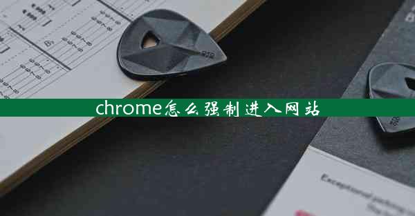 chrome怎么强制进入网站