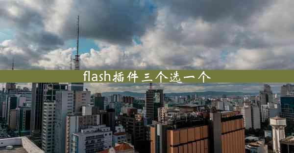 flash插件三个选一个