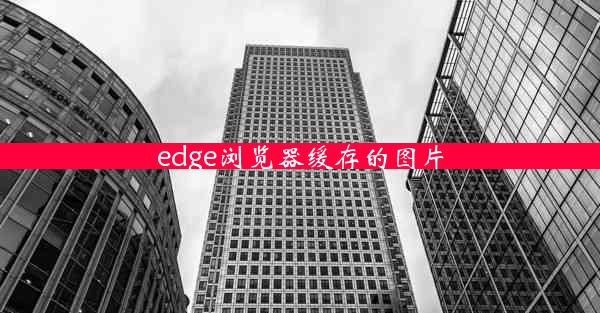 edge浏览器缓存的图片