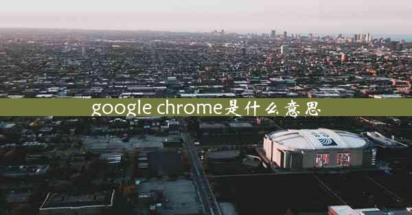 google chrome是什么意思