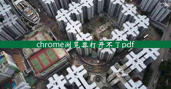 chrome浏览器打开不了pdf