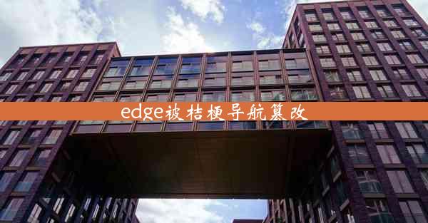 edge被桔梗导航篡改