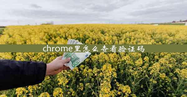 chrome里怎么查看验证码