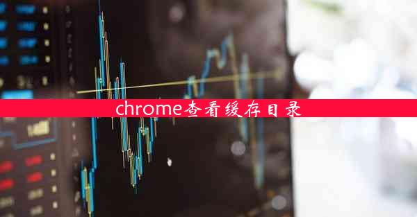 chrome查看缓存目录