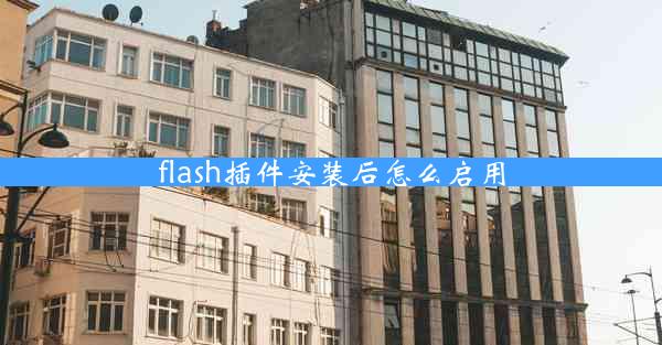 flash插件安装后怎么启用