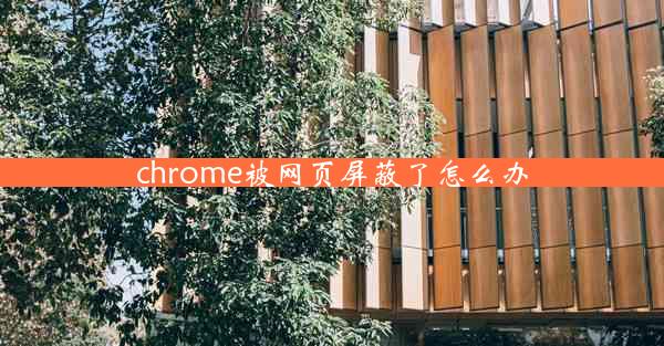 chrome被网页屏蔽了怎么办