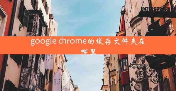 google chrome的缓存文件夹在哪里