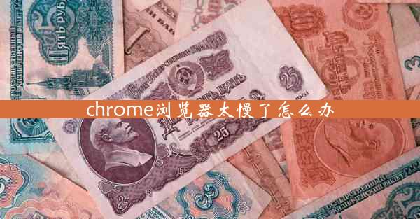 chrome浏览器太慢了怎么办