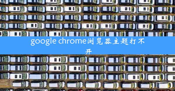 google chrome浏览器主题打不开