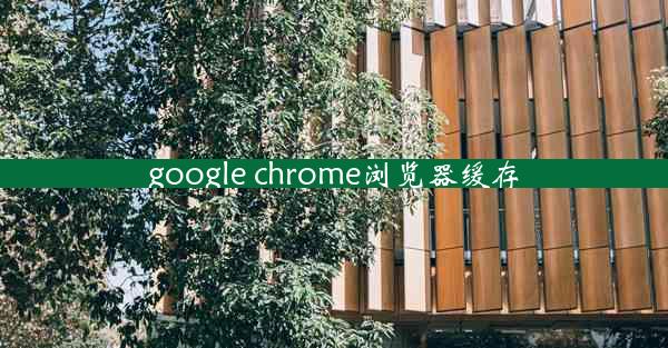 google chrome浏览器缓存