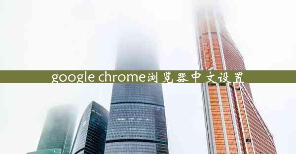 google chrome浏览器中文设置