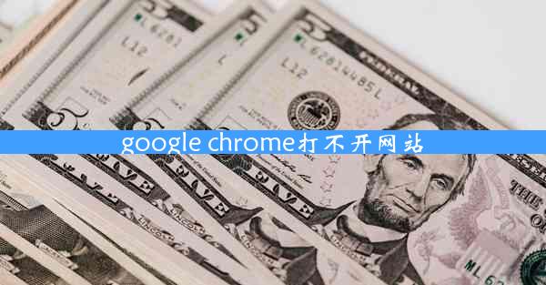 google chrome打不开网站