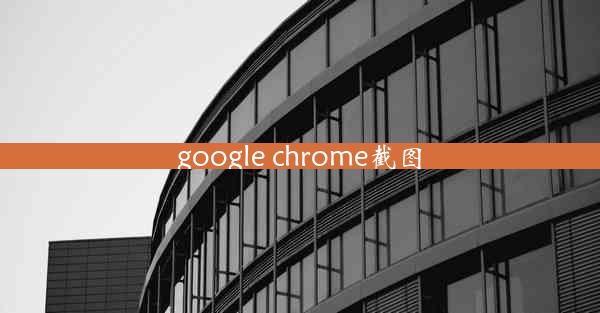 google chrome截图