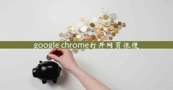 google chrome打开网页很慢