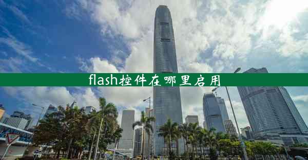 flash控件在哪里启用