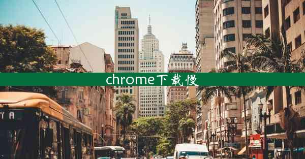 chrome下载慢