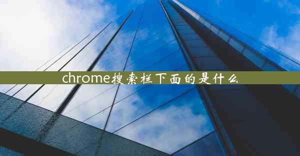 chrome搜索栏下面的是什么