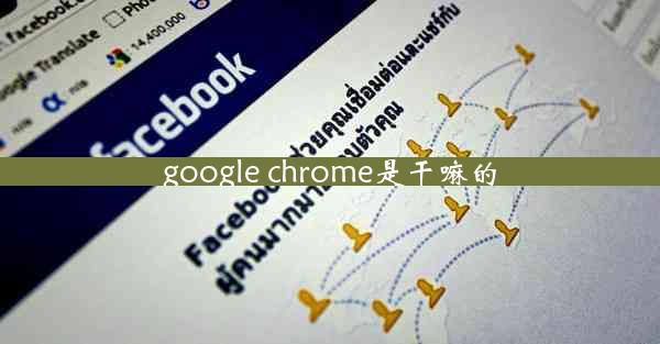 google chrome是干嘛的