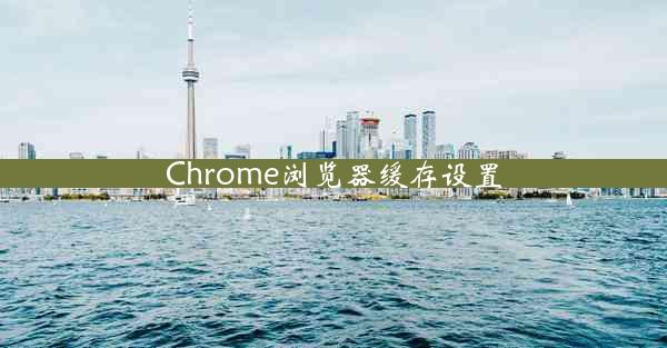 Chrome浏览器缓存设置