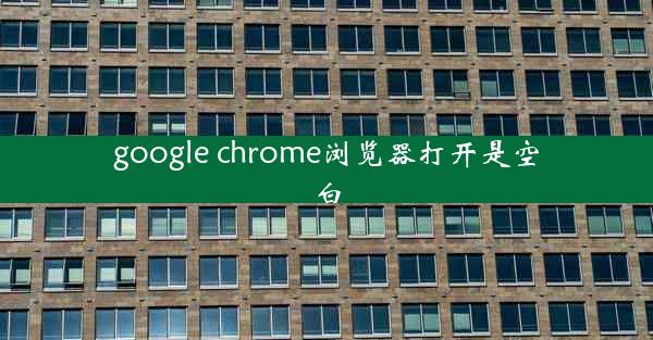 google chrome浏览器打开是空白