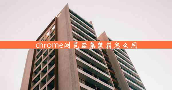 chrome浏览器集装箱怎么用