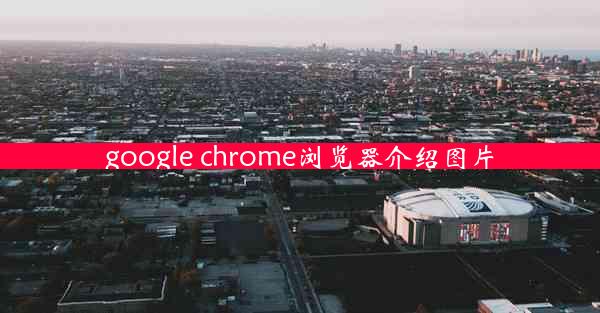 google chrome浏览器介绍图片