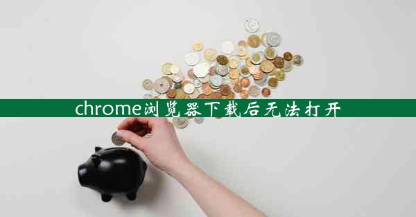 chrome浏览器下载后无法打开